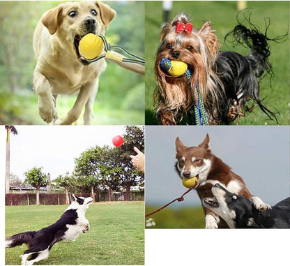 2pcs Diameter 2.76inch Dog Rope Ball, EVA Rubber Ball on a Rope Dog Toy can Floats in Water, for Interactive Pet Chewing Training Working Dog Rope Ball Toy, Tugging Ball Toys(Yellow)