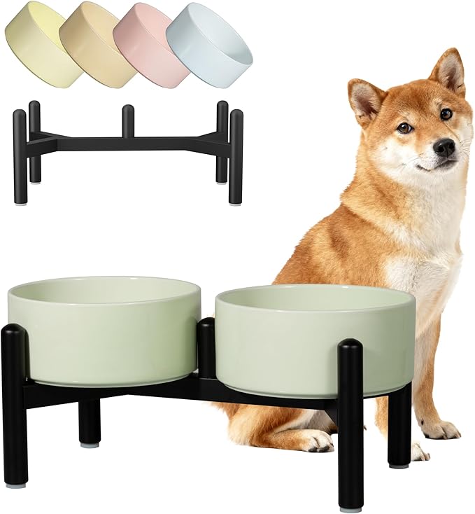 Ceramic Elevated Dog Bowl Set - Dog Feeder Station with Cute-Style Double Bowls for Small and Medium Size Breed - Non-Slip Raised Dish for Food and Water Feeding- 6 Inch - 3.5 Cups / 20 fl oz - Green
