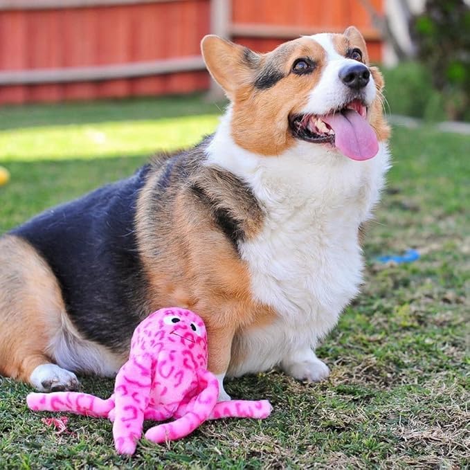 ZippyPaws Floppy Jelly - Dog Squeaky Toys to Keep Them Busy, Cute Plush for Small, Medium, & Large Dogs, Stuffed Puppy Toy, Pet Products, Gift for All Breeds, Large Interactive Blaster Squeaker