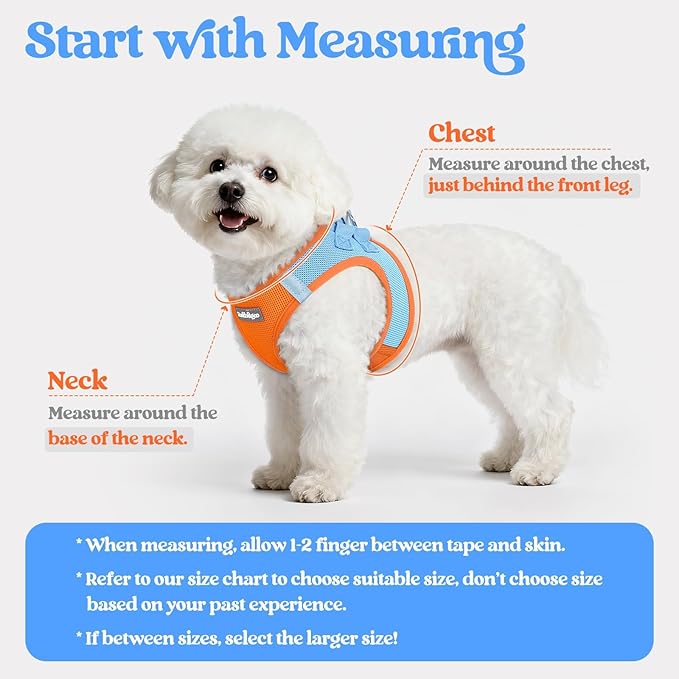 rabbitgoo Dog Harness Medium Sized and Leash Set, Step in Soft Light Puppy Vest, Breathable Mesh Pet Harness, Reflective for Safe Easy Walking, Blue & Orange XXL