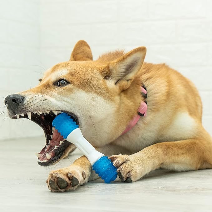 Puppy Teething Chew Toys up to 88 Lbs Dog Chew Toys for Gentle Chewers Promotes Dental Health Reduces Teething Discomfort Boredom Freshen Breath Dog Toy Made W/PU Rubber (Dental Stick, 5 inches)