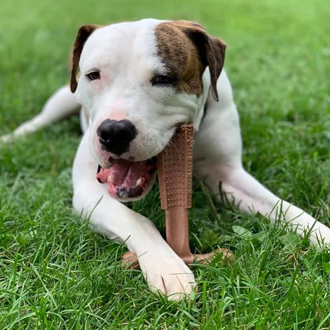 SPOT by Ethical Products 4 in Bambone Plus Easy Grip Peanut Butter, Beef & Chicken Dog Chew Bundle - Bamboo & Nylon Anti Anxiety Bone for Aggressive Chewers & Dental Health for Dogs - Large (3 Pack)
