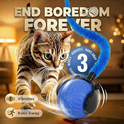 Interactive Toys for Cats, 2026 New Interactive Cat Toy Ball, Automatic Moving Cat Toy for Indoor Use, Rechargeable Feather Tail Cat Toy with Stimulation for Small Medium Large Cats (2 * Blue)