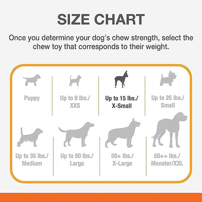 Nylabone New Puppy Starter Kit, Puppy Teething Toys, Chew Bones for Puppies, Peanut Butter & Chicken Flavor, X-Small Dogs - Up to 15 lbs., 2 Pack