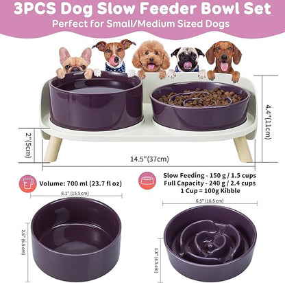 Elevated Slow Feeder Dog Bowls - Ceramic Food and Water Bowl Set with Stand - Raised Pet Dishes for Small and Medium Sized Dogs