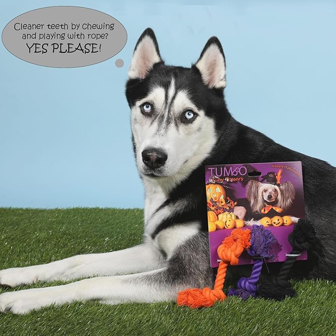 Tumbo Halloween Closeout Tiny Tosser Dog Rope Bones, Holiday Favorites and Many Colors (Orange, Black, Purple, Halloween)