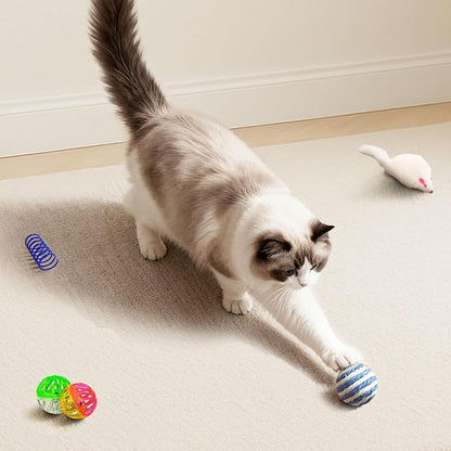 Cat Toys for Indoor Cats, 34 Packs Interactive Cat Toy Set with Colorful Springs Toys, Mouse Toy, Catnip Ropes, Balls, Bells, and Sisal Ball for Kittens