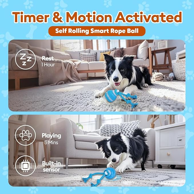 Interactive Smart Ball Dog Toy with Rope, Blue