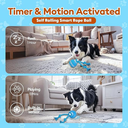 Interactive Smart Ball Dog Toy with Rope, Blue