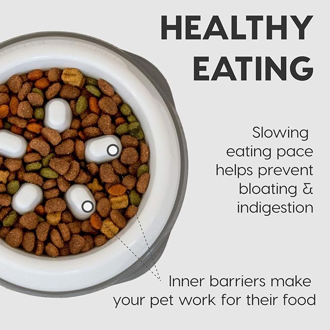 IRIS USA 4 Cups Slow Feeder Dog Bowl, Anti-Choking, Anti-Slip, Dog Slow Feeder, Puzzle Bowl Toy, Healthy Digestion, Short snouted, Dogs Cats & Other Pets, BPA, PVC, Phthalate Free, White/Beige