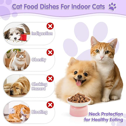 Cat Food Bowl, Ceramic Cat Bowls, Anti Whisker Fatigue Cats Bowl Set,Shallow Wide Kitten Plates for Food and Water (Pale Pink)