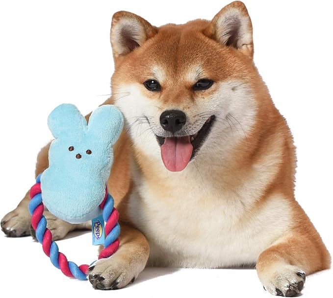 Peeps for Pets Bunny 6 Inch Blue Plush Rope Pull Toy for Dogs | Blue Dog Toy from Peeps, Plush Fabric Dog Toys | Small Squeaker Dog Toy with Rope (FF16024)