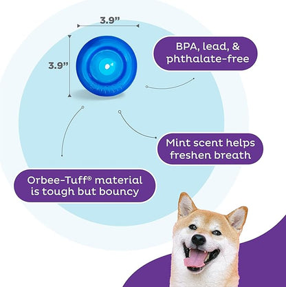 Outward Hound by Planet Dog Lil' Snoop Dog Toy – Treat‑Dispenser Puzzle Ball, Interactive Slow Feeder, Small to Medium Dogs, Bouncy & Mint-Infused, Blue, 3.9"