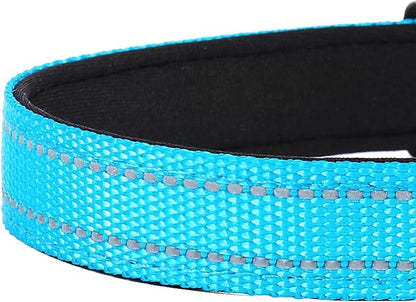 Reflective Dog Collar, Adjustable Soft Neoprene Padded Nylon Pet Collars with Buckle for Puppy and Small Dogs, Cats, Sky Blue,XS