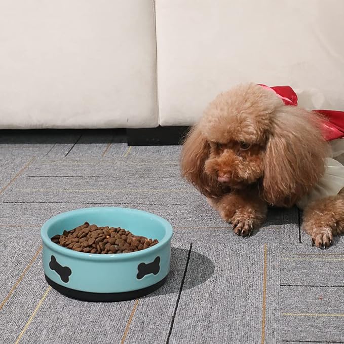 Sweejar Ceramic Dog Bowls with Bone Pattern, Dog Food Dish for Large Dogs, Porcelain Pet Bowl for Water 70 Fl Oz (Turquoise)