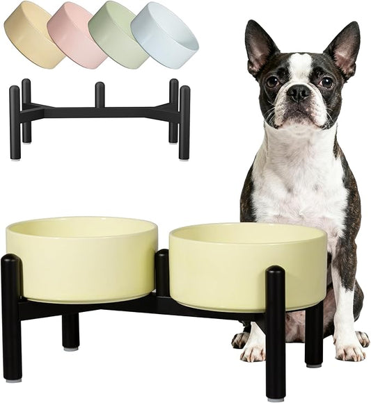 Ceramic Elevated Dog Bowl Set - Dog Feeder Station with Cute-Style Double Bowls for Small and Medium Size Breed - Non-Slip Raised Dish for Food and Water Feeding- 6 Inch - 3.5 Cups / 20 fl oz - Yellow