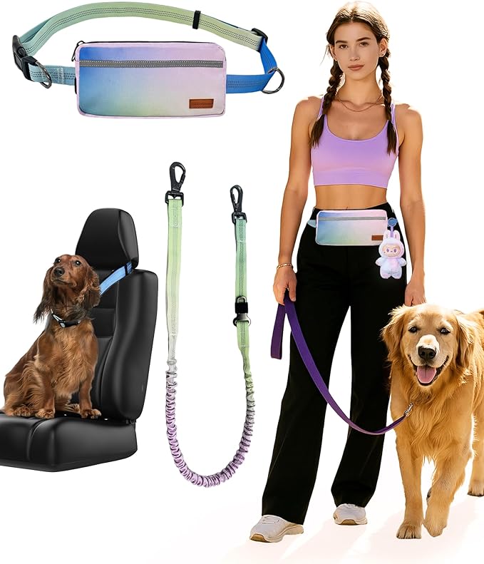 Stylish Car‑Safe Hands‑Free Bungee Dog Leash with Adjustable Waist Belt & Seat‑Belt Hook – Reflective No‑Pull Leash with Zipper Pouch for Running, Hiking & Travel (Powder Blue Gradient)