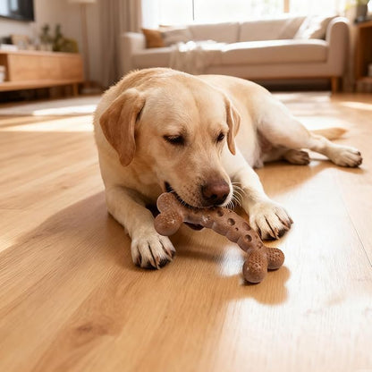 Dog Chew Toy for Aggressive Chewers Chicken Flavored Tough Dog Bone Toys for Medium Large Dog Breed to Keep Them Busy