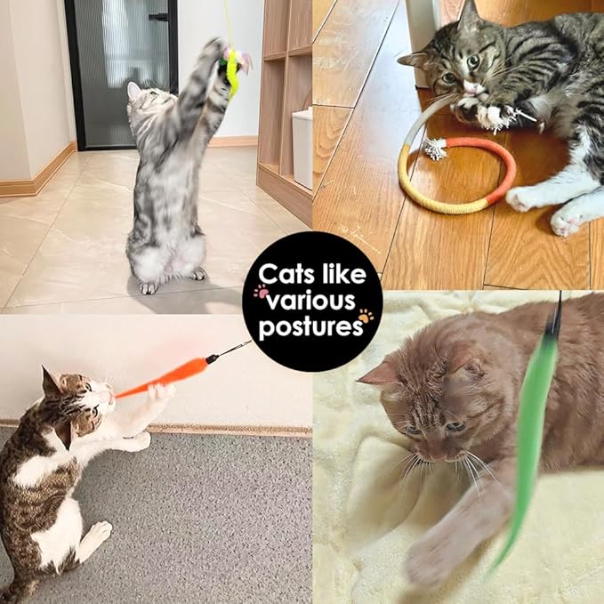 Interactive Cat Toys 8 Pcs, 1 Interactive Wand, 1 Cat Chew Ropes 7 Assorted Teaser Refills and 2 Indoor Hanging Catnip Toy Suitable for Bored Adult Cats and Kittens Play Chase Exercise