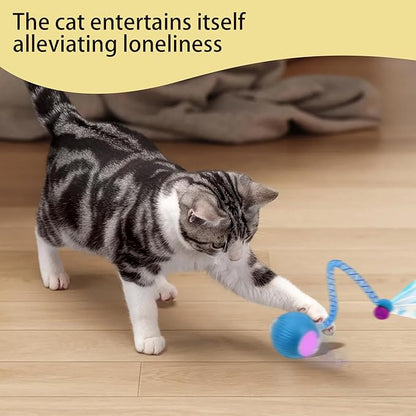 Interactive Cat Toy Ball - 2Pcs Speedy Cat Toys for Indoor Cats with Feather Tails for Chasing with 2Pcs Replaceable Tails ，Automatic Kitten Toys for Bored Indoor Adult Cats