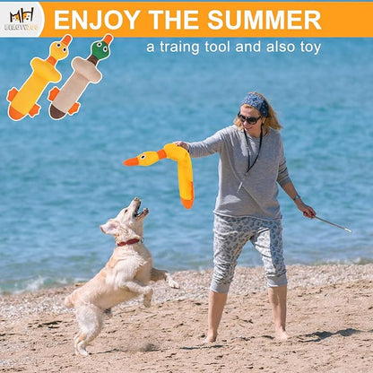 BEAUTYZOO Floating Dog Water Pool Toys 2 Pack - Squeaky Duck Design Pool Toys for Medium/Large Dogs, Dock Diving & Fetch Training, Durable Summer Water Dog Toy
