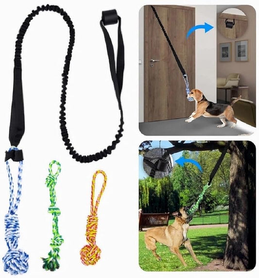 Spring Pole Dog Rope Toys, Tree Bungee Hanging Dogs Toy Interactive Tether Tug Indoor Outdoor Exercise Chewer Ropes Dog Toys, Pull Tug Solo Play Rope for Medium Large Dog