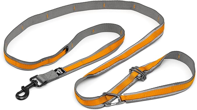 Kurgo 6 in 1 Quantum Leash, Hands Free Leash for Dogs, Running Belt Lead, Crossbody & Waist Belt Style, Reflective, Carabiner Clip, for Training, Hiking, or Jogging, 4 Colors