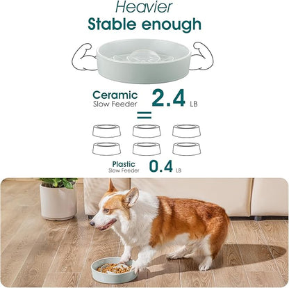 vancasso Slow Feeder Dog Bowl, 1.5 Cups Ceramic Dog Food Dish for Fast Eaters Small Breed, Puzzle Bowl for Small Dogs and Cats, Grayish Cyan