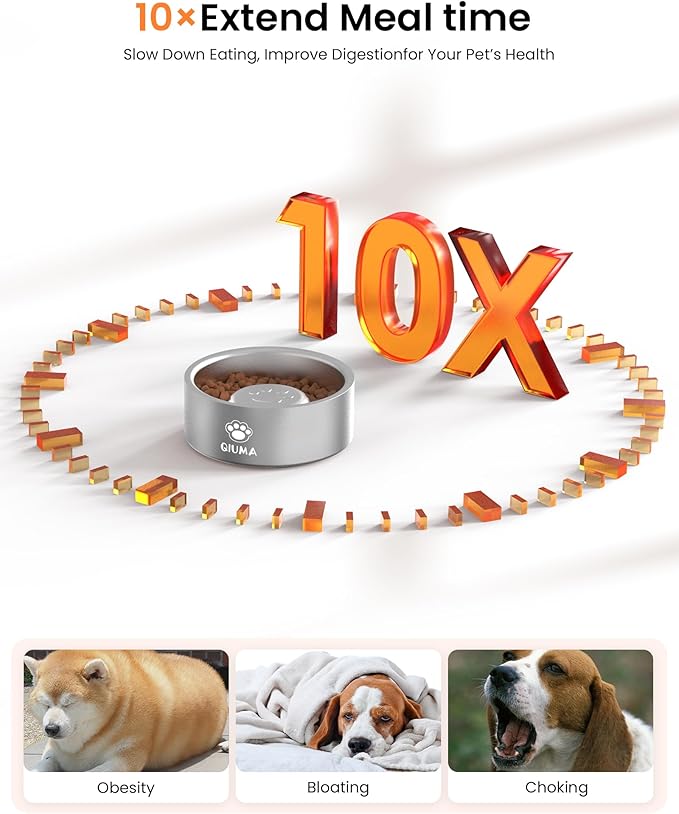 Slow Feeder Dog Bowls Stainless Steel, Food-Grade 304 Dog Slow Feeder Bowl 2 Cups Capacity, Heavy Duty Double-Layer with Non-Slip Base, Pet Puzzle Bowl for Small & Medium Dogs (Silver)