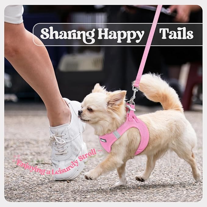 rabbitgoo Dog Harness Medium Sized and Leash Set, Step in Soft Light Puppy Vest, Breathable Mesh Pet Harness, Reflective for Safe Easy Walking, Light Pink XXL