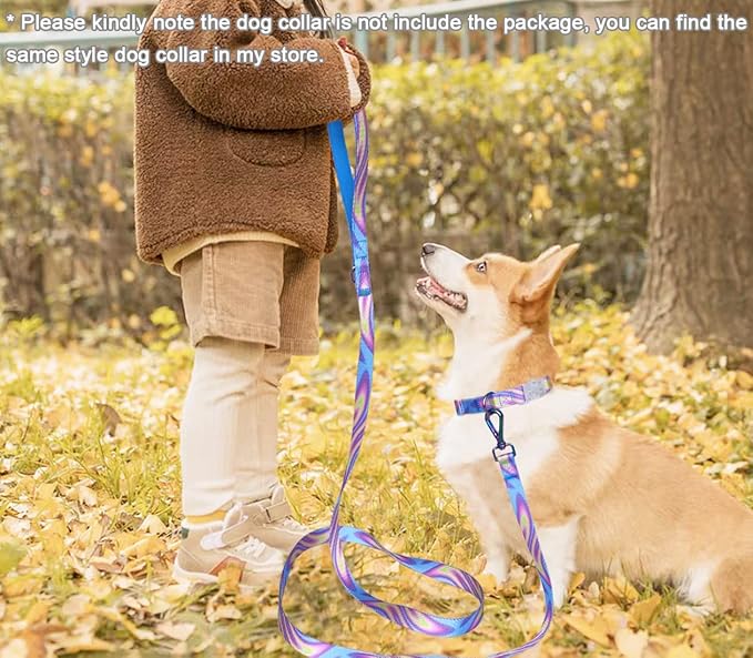 6FT Dog Leash, Strong Nylon Tie Dye Dog Lead with Heavy Duty Holographic Laser Hardware Comfortable Padded Handle Leash for Medium Large Dogs