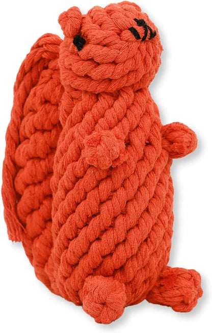 Bucky The Squirrel Dog Toy Handmade Eco Cotton Rope Squirrel Toy for Dogs - Natural, Non-Toxic Dyes, Dog Chew Toys for Small & Medium Breed Dogs, Cats (Small)