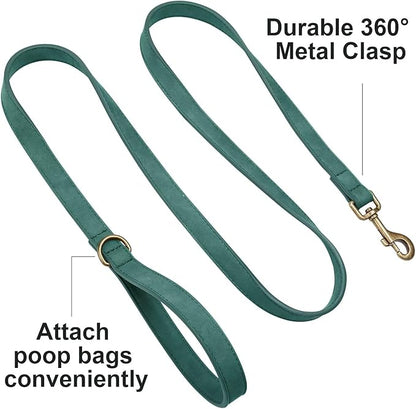 Didog Stylish PU Leather Dog Leash for Large Dogs, Easy to Clean 5ft Dog Leashes for Medium Dogs, Fashionable and Elegant for Walking, Running and Training,Green, M