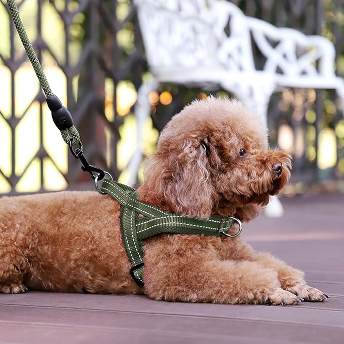 Plutus Pet No Pull Dog Harness with Breathable Mesh Padded, Adjustable Reflective Escape Proof Dog Harness, Quick Fit Dog Vest Harness for Small Medium Large Dogs(S, Ranger Green)