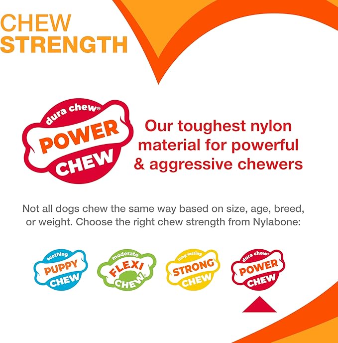 Nylabone Easy-Hold Dental Bone Power Chew Toy for Dogs, Dog Toys for Aggressive Chewers, Bacon Flavor, Large - Up to 50 lbs, 1 Count