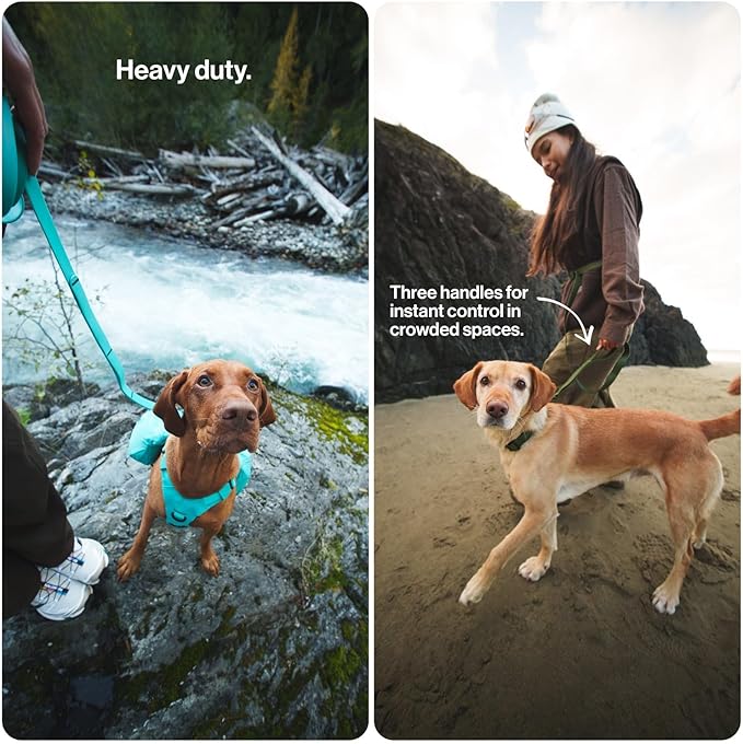 Säker Kelp™ Waterproof Dog Leash – Heavy Duty, Odor-Proof, Adjustable 4–6 ft Long Dog Leash with Twist-Lock Carabiner, 3 Traffic Handles, Hands-Free Option, Aluminum Hardware