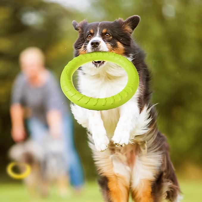 Jenaai 4 Pack Dog Ring Toy Dog Training Chew Toy for Outdoor Aggressive Durable Pet Chewers Fetch Floating Toys Flying Disc Puppy Ring for Large Medium Puppy Training(Colorful,7.48 Inch)