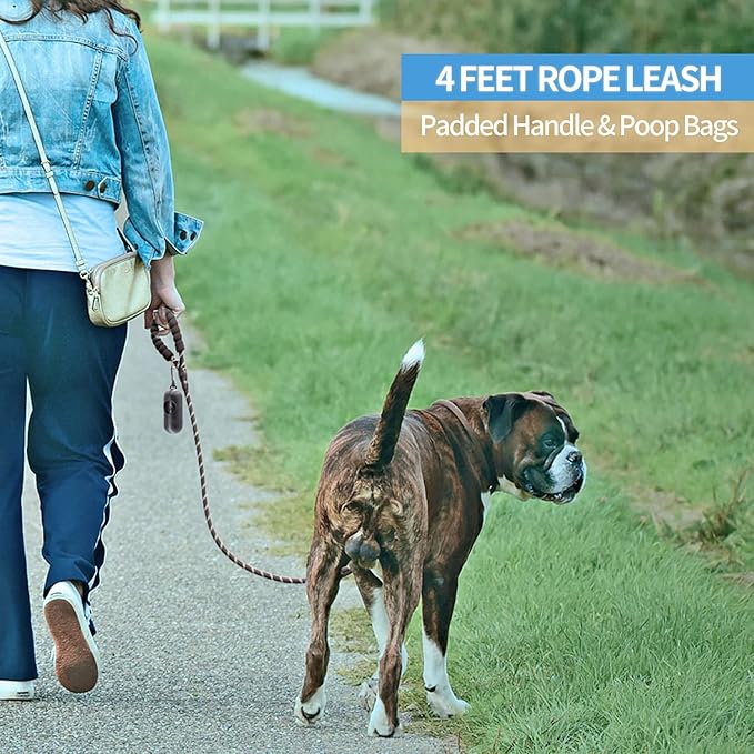 BAAPET 2/4/5/6 FT Dog Leash with Comfortable Padded Handle and Highly Reflective Threads for Small Medium and Large Dogs (4FT-1/2'', Black)