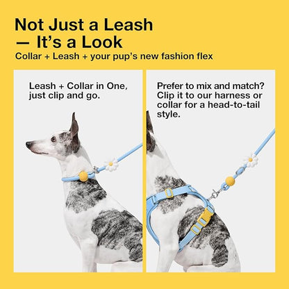 VETRESKA Hands-Free Dog Leash, 8FT Adjustable Rope Leash for Medium Large Dogs, Waist/Crossbody Slip Lead Leashes for Walking, No Pull Dog Leashes with Bag Dispenser, Clip, 3 in 1 Walk Kit (Daisy)