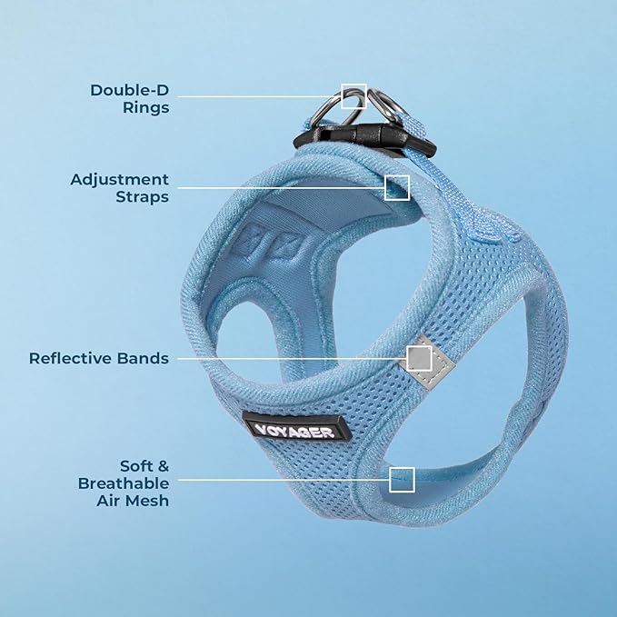 Best Pet Supplies Voyager Step-in Air Harness - All Weather Mesh, Reflective, No Pull Harness for Dogs, Cats - Secure with Hook & Loop Fastener, Buckle, Double D-Rings - Baby Blue, XS