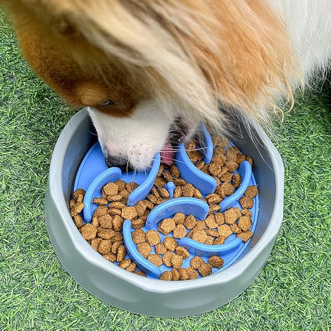 Oak & Tail Slow Feeder Dog Bowl with Removable Silicone Insert, 2-in-1 Pet Food Water Bowl, Anti-Gulping Design for Healthy Eating, Gray, Blue