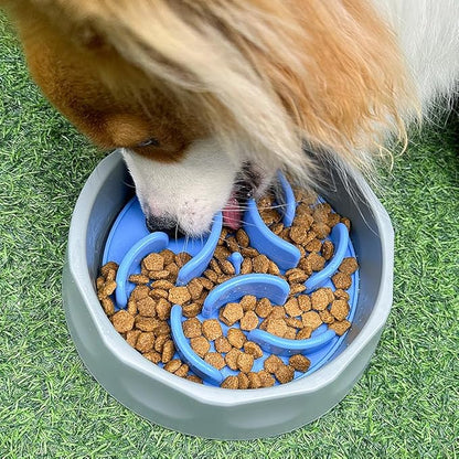 Oak & Tail Slow Feeder Dog Bowl with Removable Silicone Insert, 2-in-1 Pet Food Water Bowl, Anti-Gulping Design for Healthy Eating, Gray, Blue