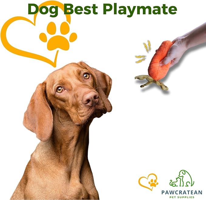 7" Squeaky Plush Toy for Puppies Small Dogs Self Etertainment Washable Soft Made [PET ONLY] (Carrot)