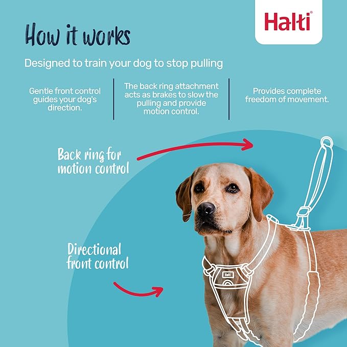 Halti No Pull Harness - Stop Your Dog Pulling on the Leash. Adjustable, Lightweight and Easy to Use. Reflective Dog Training Harness for Small Dogs (Size S, Forest Green)