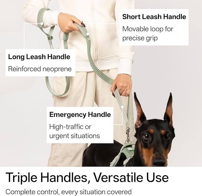 Hands Free Dog Leash Adjustable Versatile Crossbody Waist Dog Leash Reflective Comfortable Padded Handles Shock Absorbing Walking Lead for Small Medium Large Dogs (Super Reflect-Black, M)