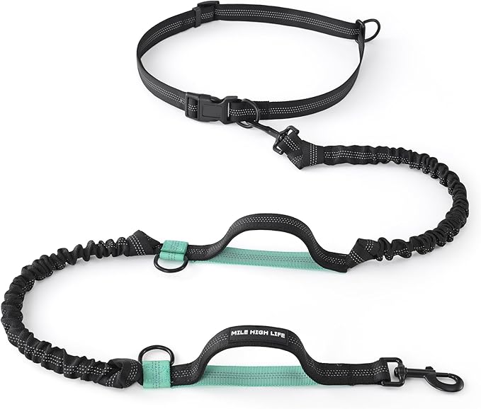 Mile High Life Hands Free Waist Leash for Dog Running Training and Jogging, Adjustable Belt with Double Handle, Reflective Bungee for Medium Large Dogs (Black Teal, 7FT)