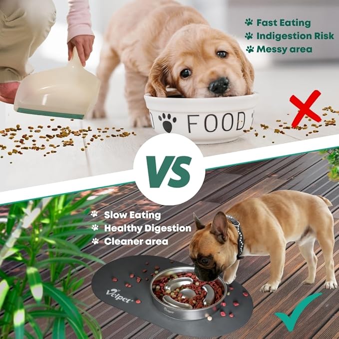 Stainless Steel Slow Feeder Dog Bowl with Absorbent Non-Slip Mat | Designed to Slow Eating | 304 Stainless Steel, Dishwasher Safe, Durable One-Piece Design for All Breeds