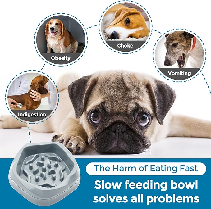 VANNON Slow Feeder Dog Bowls Non Slip Puppy Bowl Durable Dog Puzzle Feeder Bloat Stop Food Bowls for Puppy and Small Dogs, BPA Free, 2 Cups, Grey