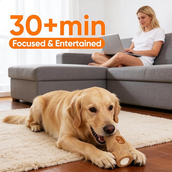 2-Pack Indestructible Chew Toys for Aggressive Chewers - Dog Toys to Keep Them Busy with Durable Nylon & Treat Dispenser to Relieve Boredom & Anxiety