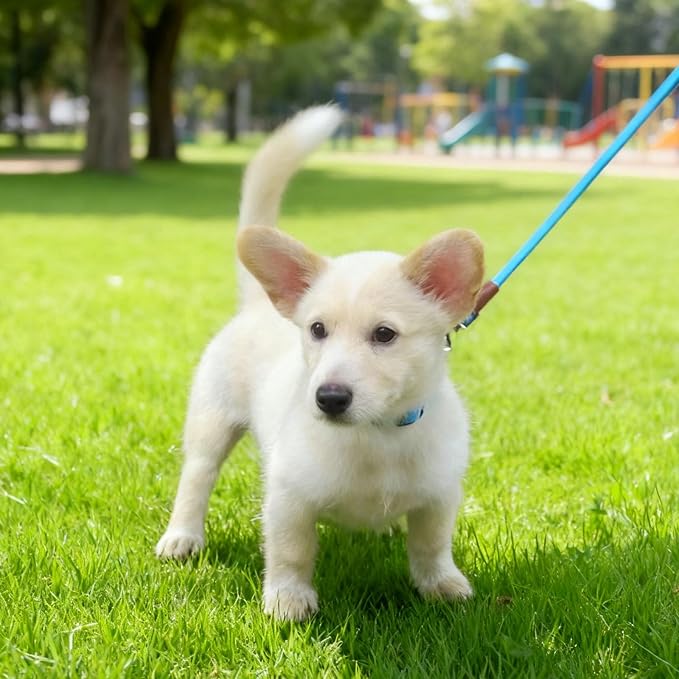 WYuZe 5ft Puppy Leash for Small Dogs, 1/4" Thin Rope Dog Leash with Easy to Use Hook, Teddy/Yorkie/Tiny Breed Lightweight Leashes-Behavioral Training Walking, 10 Colors, Blue